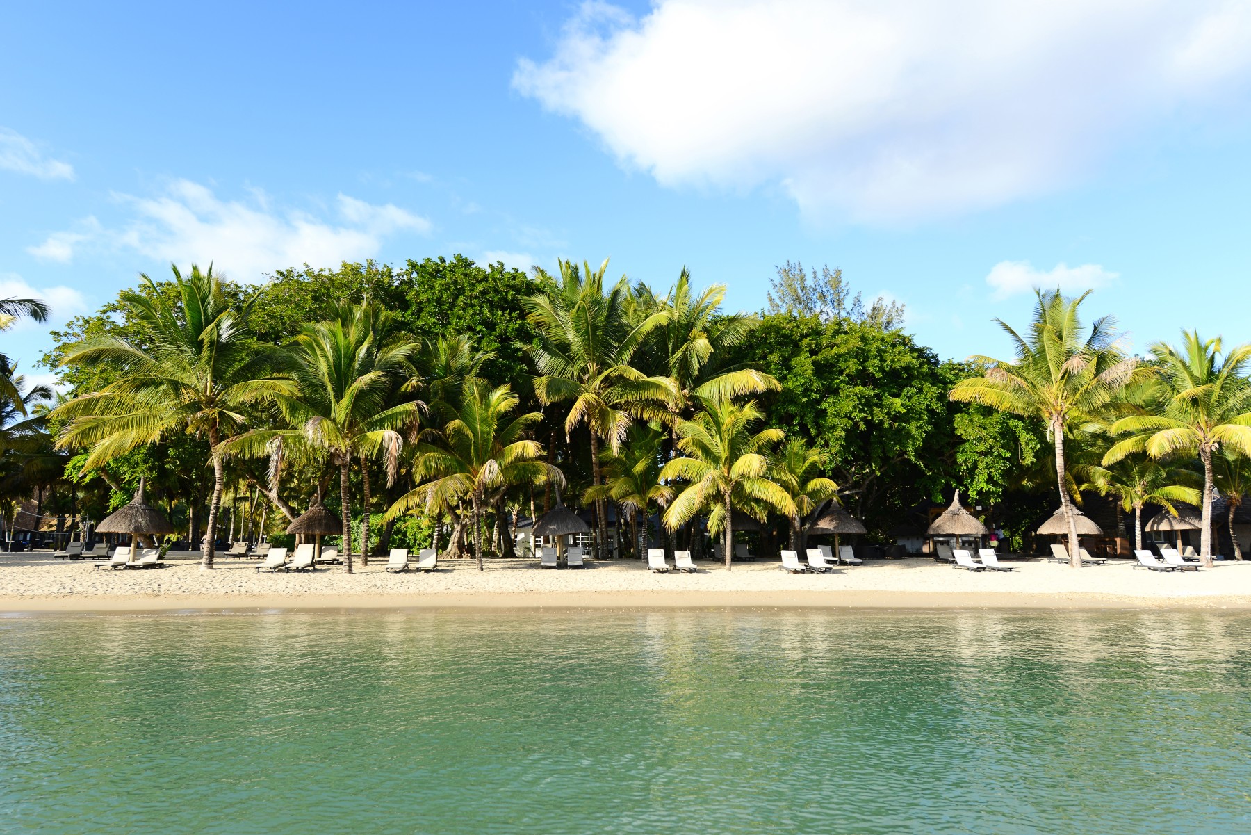 The Ravenala Attitude